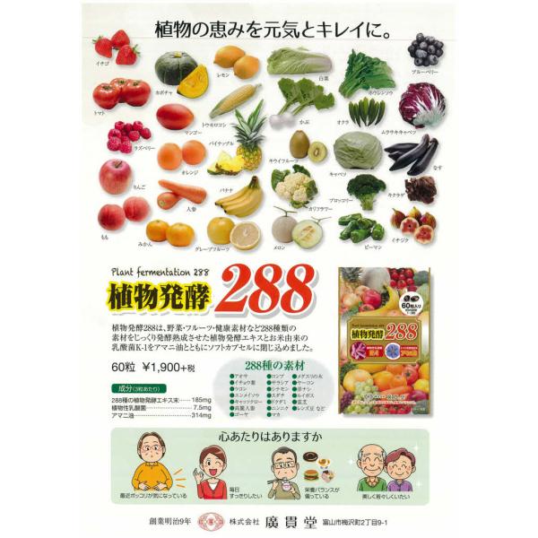 植物発酵２８８ 富山 廣貫堂 60粒 植物性乳酸菌 アマニ油 2種類素材 K6403 さくら医薬品ストア 通販 Yahoo ショッピング