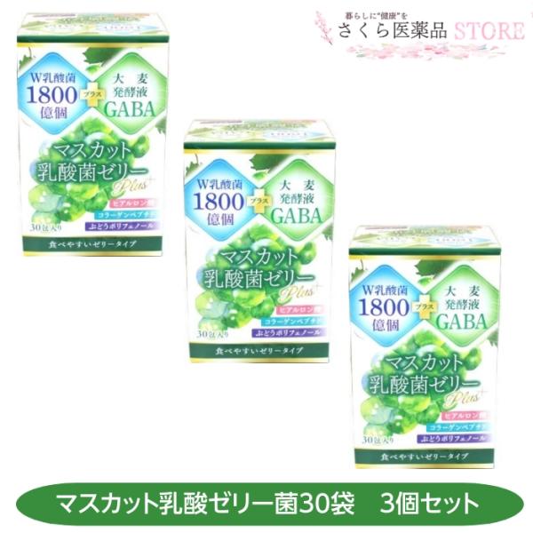 マスカット乳酸菌ゼリー 30包 3個セット 乳酸菌1800億個 大麦発酵液 GABA ヒアルロン酸 コラーゲンペプチド ゼリー　　