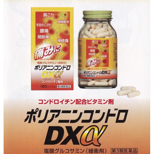 肩こり　腰痛　神経痛　関節痛　ポリアニンコンドロDXα　160カプセル　医薬品コンドロイチン