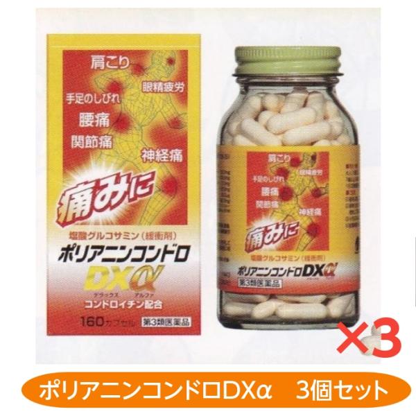 肩こり 腰痛 神経痛 関節痛 ポリアニンコンドロDXα 160カプセル 3個