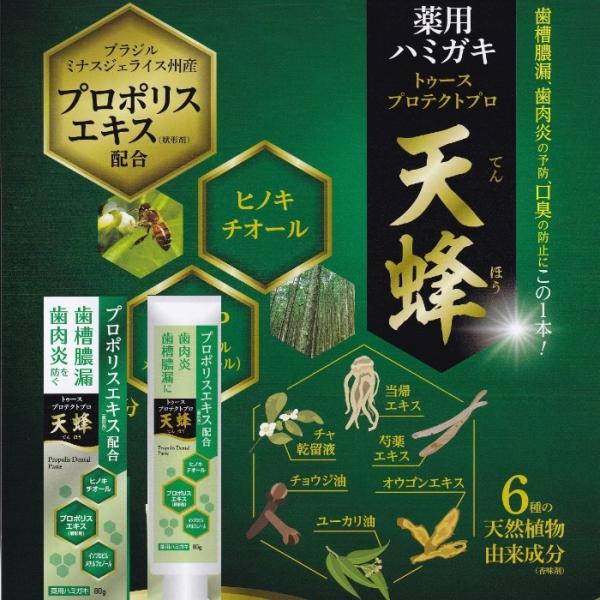 歯槽膿漏・歯肉炎の予防・虫歯の発生及び進行の予防・口臭の防止。有効成分イソプロピルメチルフェノール及びヒノキチオール配合有効成分として、歯周病（歯肉炎・歯周炎）予防効果のあるイソプロピルメチルフェノール及びヒノキチオールを配合賦形剤として、...