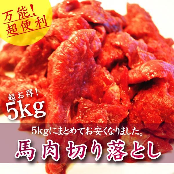 n p[eB ē BBQ n؂藎Ƃ 5kg