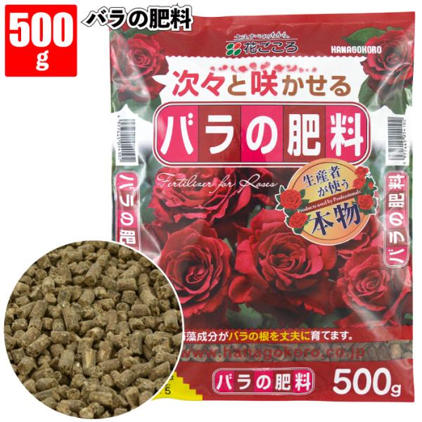 sakuranbo-honpo_hn-4102-500g