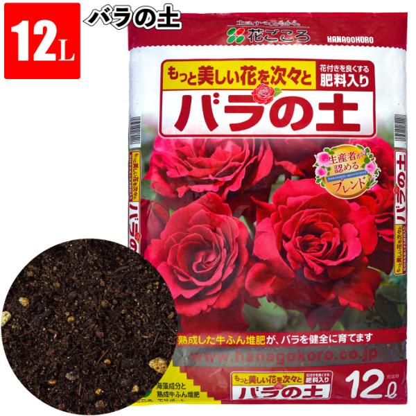 sakuranbo-honpo_hn-4208-12l