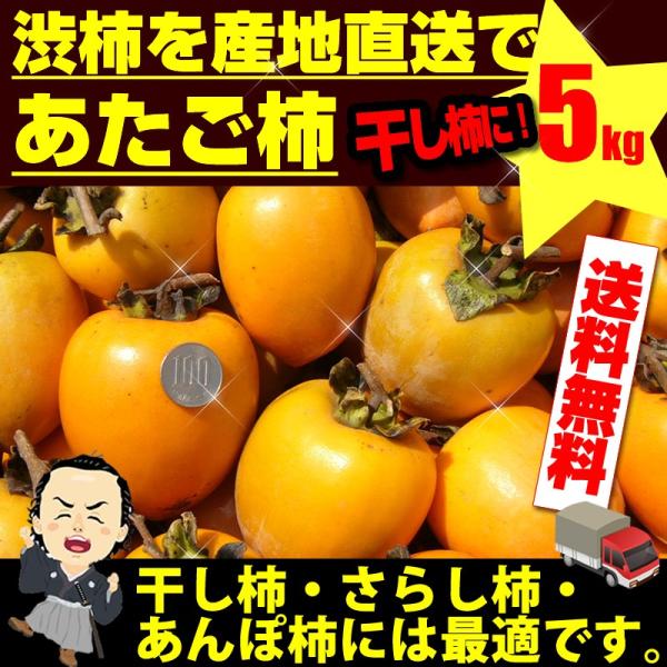 ` T Q }ta` ` 邵` PP㒆{蔭 {yƖkC͕ʓr S̗͔s