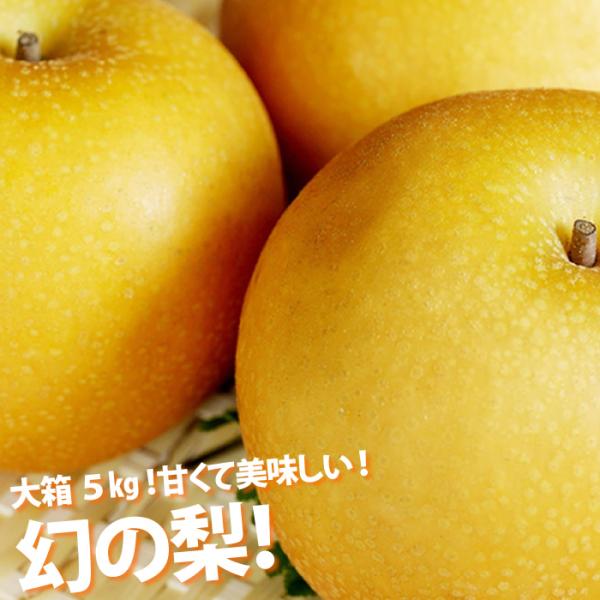 梨 秋月梨 あきづき梨 幻の梨 なし ナシ4〜5kg 9月中頃より