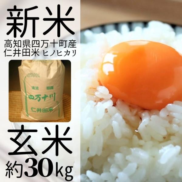 sakuraseika_kome sakuraseika_kome