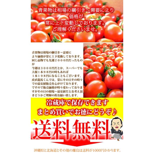 プチトマト約３kg 高知のミニトマト Buyee Buyee Japanese Proxy Service Buy From Japan Bot Online