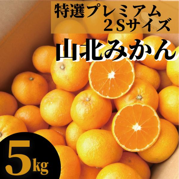 Iv~A@Rk݂@2STCY@TmY@EF~J{yƖkC͕ʓrS̗͔s