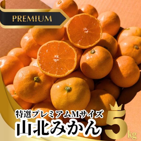 Iv~A@Rk݂@MTCYT@mY EF~J{yƖkC͕ʓrS̗͔s