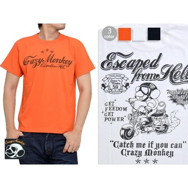 ��E��(�n������̓���)����T�V���c Crazy Monkey �N���C�W�[�����L�[ �������� �A���J�W CZM-8305