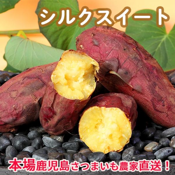 [Release date: September 30, 2020]シルクスイートは、当店人気No.４のおいもでサツマイモ自体の甘みが強いのが特長の品種ですが、肉質はしっとりとし、粘質で舌ざわり良く、お芋らしい香り、そしてサツマイモの美味し...