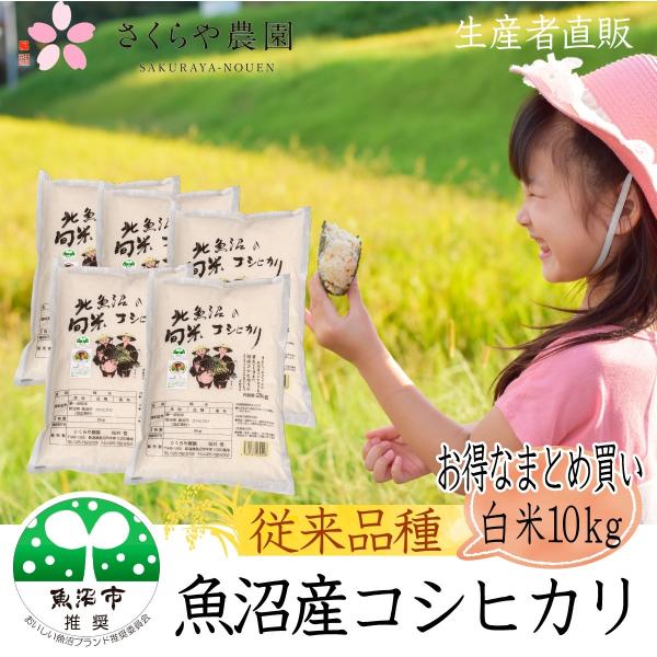 コシヒカリ 【新米】農家直売 魚沼産コシヒカリ 白米 10kg（2kg×5袋