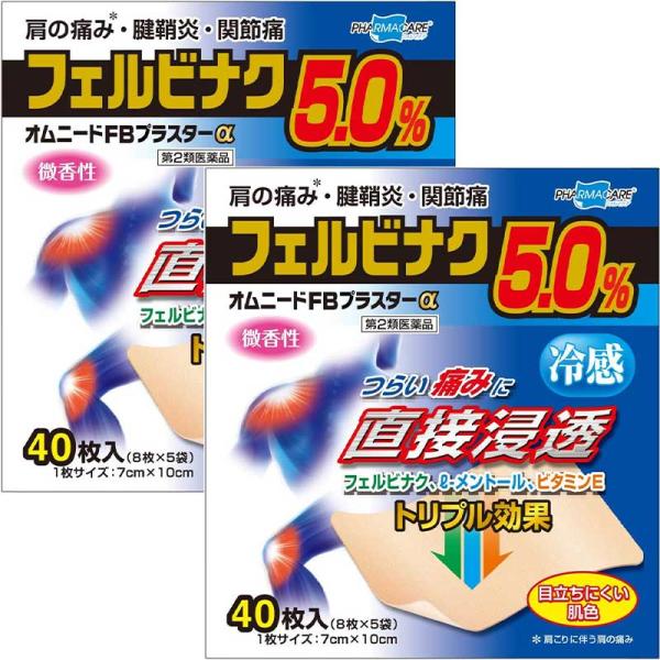 【第2類医薬品】オムニードFBプラスターα 40枚 [2個セット] ※セルフメディケーション税制対象商品