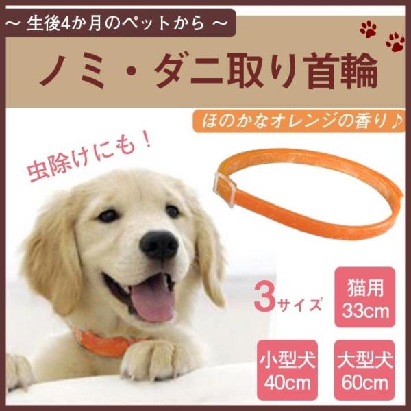 ペット用 ノミ取り ダニ取り首輪 猫用 小型犬用 大型犬用 全3タイプ ネコちゃん ワンちゃんが嫌がらない ほのかなオレンジの香り Co458 セールストア Yahoo 店 通販 Yahoo ショッピング