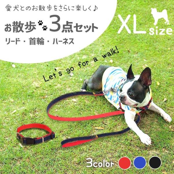 NORADOGリード.ハーネス.首輪3点セット NORADOGリード.ハーネス.首輪3点セット