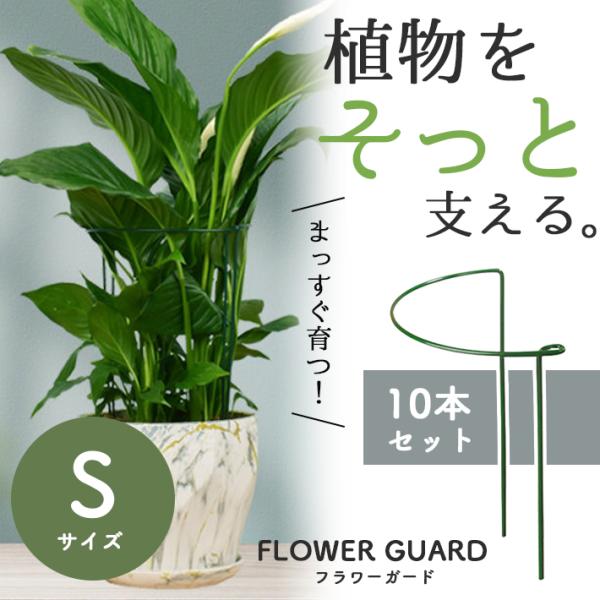 飾り台　支柱 sale-store_coa125-s-set10