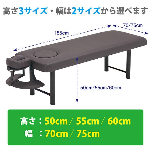 FV-220-H マッサージベッドBASIC DXオメガ式 H型脚 2色（アイボリー 