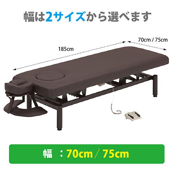 ネチュラ　Electric flat memory FV223 電動昇降ベッド FV-223 ネチュラElectric Flat Memory(エレクトリックフラット