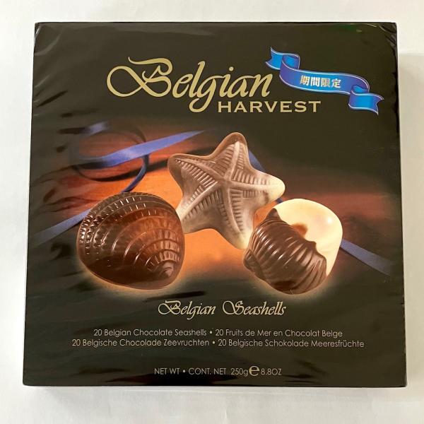 ベルギーチョコレート シーシェル 貝殻型 ヘーゼルナッツチョコレート  ベルギー産 250g(20pcs)20粒入り クリスマス ギフト クリスマスプレゼント