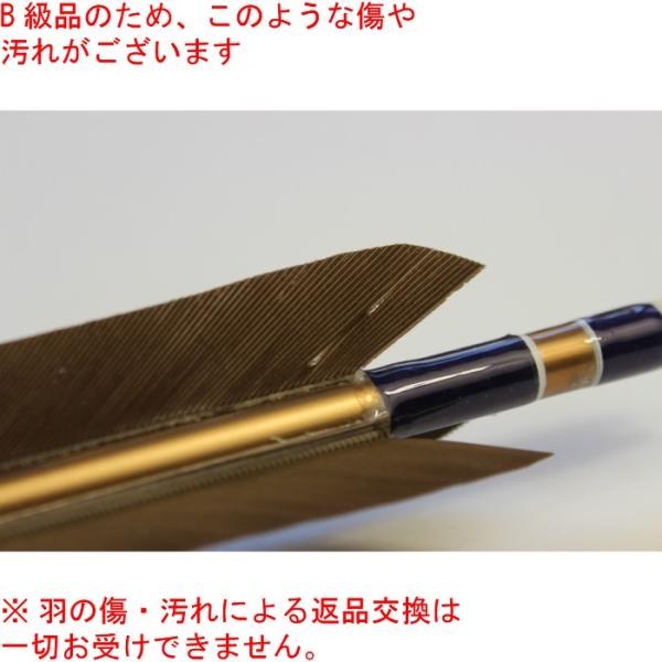弓道矢黒手羽b級品1913 6本組 D 1680 Buyee Buyee 提供一站式最全面最專業現地yahoo Japan拍賣代bid代拍代購服務bot Online