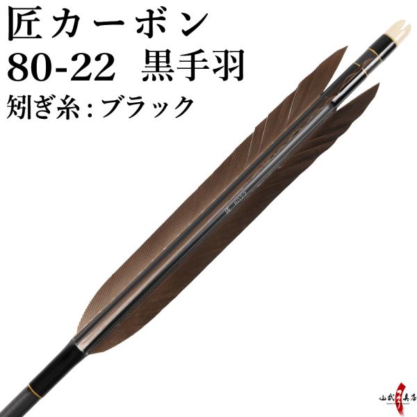 ミニ四駆フルカウルカーボン10本20th弓カーボン