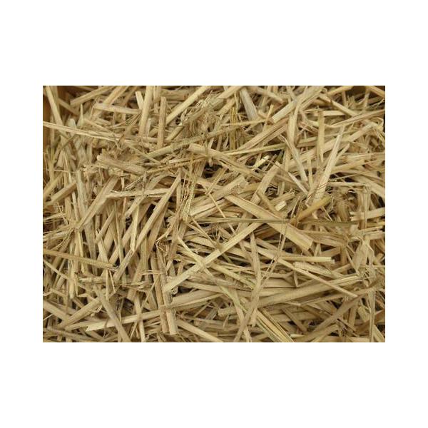 稲藁 imgrc0085436850.jpg