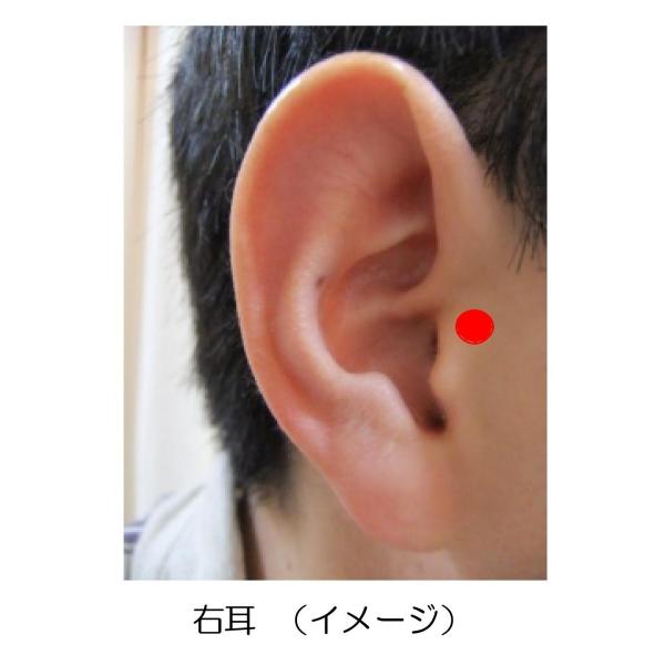 ツボシールで疲れ目対策アイテム 耳つぼに貼るだけ スマホ老眼 目の疲れによる肩こり リラックスに 目の疲れ解消グッズ お試し価格版 Buyee Buyee Japanese Proxy Service Buy From Japan Bot Online