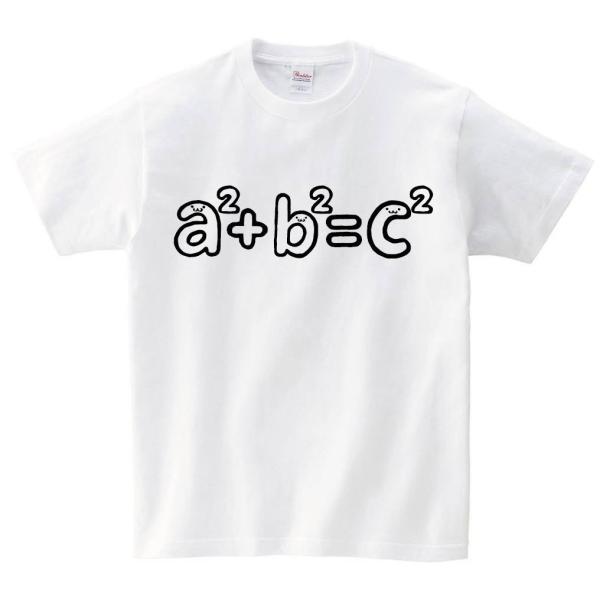 B2 C2 ピタゴラスの定理 数学 数式 記号 文字 筆絵 イラスト 半袖tシャツ Nu185ht サモエスキー 通販 Yahoo ショッピング