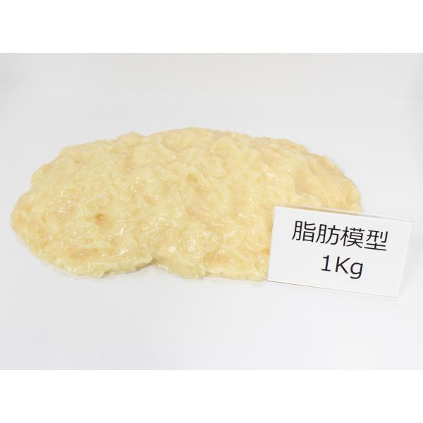 実物重量 脂肪サンプル 1kg 食品サンプル 脂肪模型 ダイエット