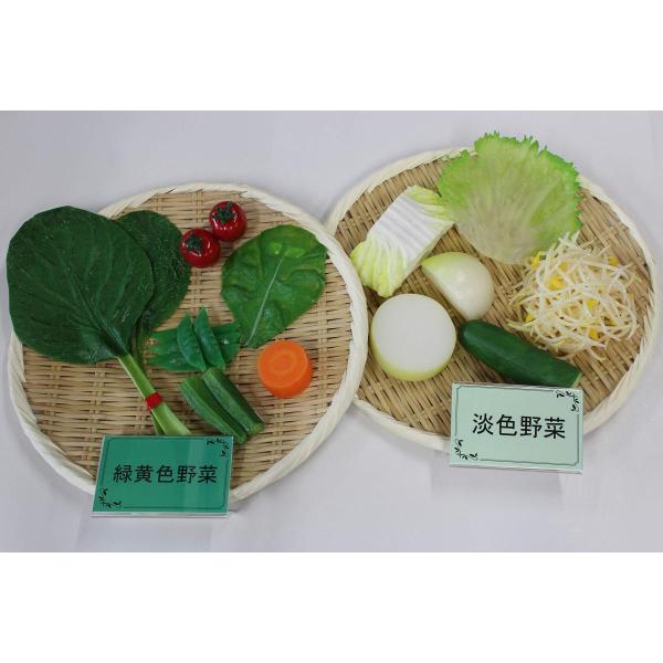 病院食】栄養指導用食品サンプル 野菜1日350gセット 磁石なし(Gセット