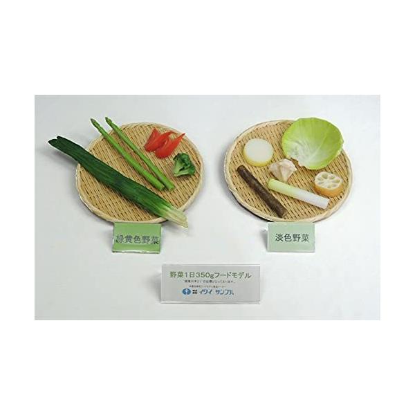 ダイエットサロン必見‼️お食事説明の時に役立つ食品サンプル 病院食】栄養指導用食品サンプル 野菜1日350gセット 磁石付き(Cセット