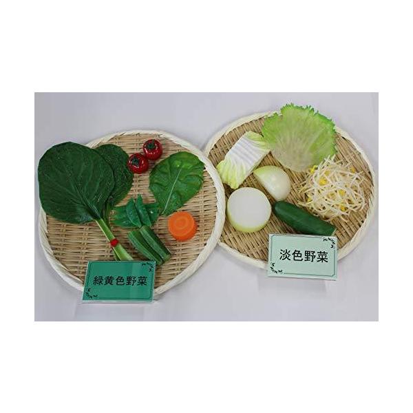 ダイエットサロン必見‼️お食事説明の時に役立つ食品サンプル samplebtoc_i-9575