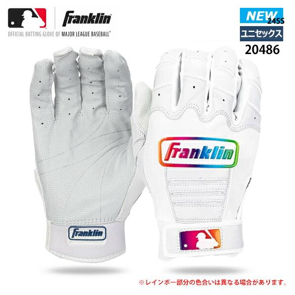 フランクリン 【即日発送】【メール便送料無料】フランクリン Franklin