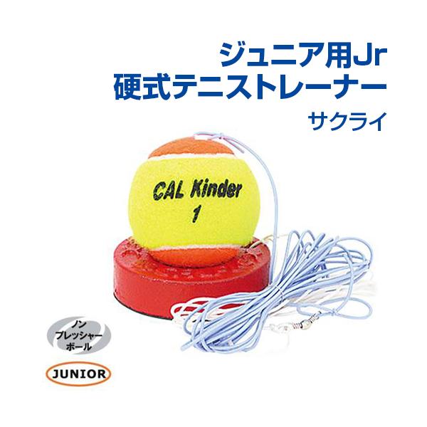 WjApJrdejXg[i[ ejX SAKURAI TNC d g[jOObY K B̃Rc ObY WjA mvbV[{[