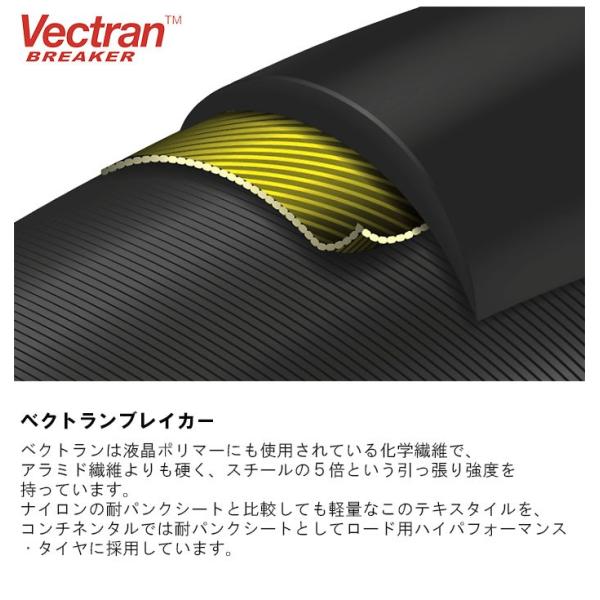 コンチネンタル 自転車 タイヤとチューブ2本セット ロードバイク Grand 