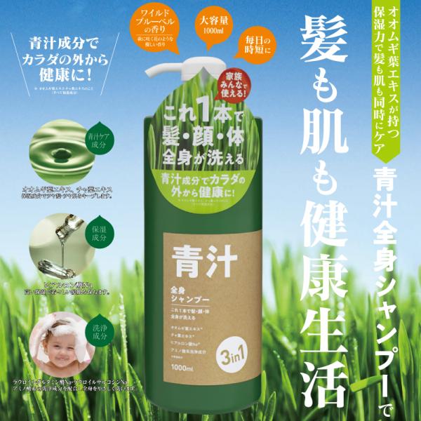 san-ai-store_it-2108-02