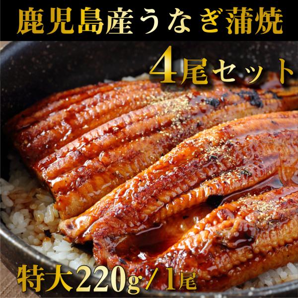 鰻4匹【あぢかんさん専用拓】 鰻4匹【あぢかんさん専用拓】 鰻4匹【あぢかんさん