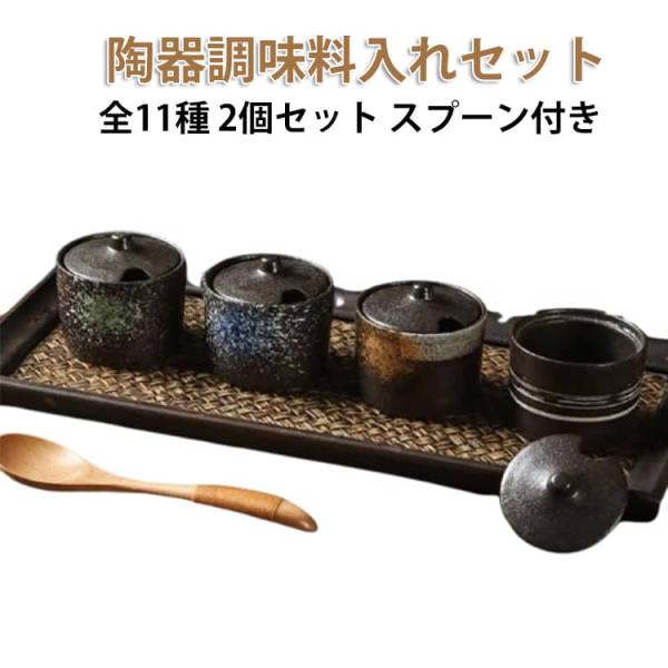 全11種 陶器 調味料入れ セット 和風 2個セット スプーン付き 塩壺