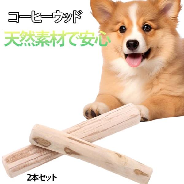 コーヒーウッド 2本セット 犬用 噛む おもちゃ コーヒーの木 無添加 天然木 カフェインフリー 犬のおもちゃ 歯磨き デンタルケア ストレスケア 歯