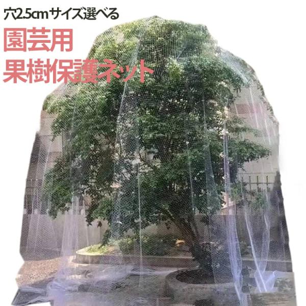 防鳥ネット 5m 6m 7m 8m 9m 果樹 すっぽり 園芸 保護ネット 防鳥網
