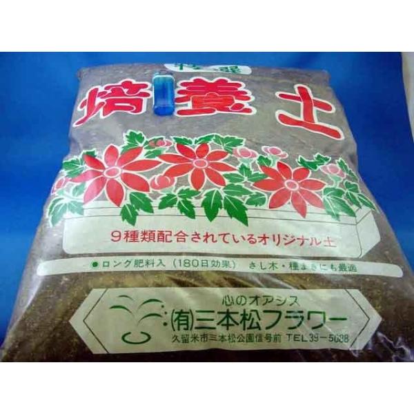 |{y  4.3L py |{y | y 