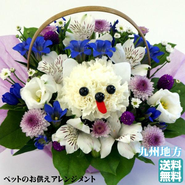 ybg@ybǧ䋟ɁIFl̃ybgɂ݁@䋟AWgg@ybg@@lR@N}@e@ETMyAj}t[z