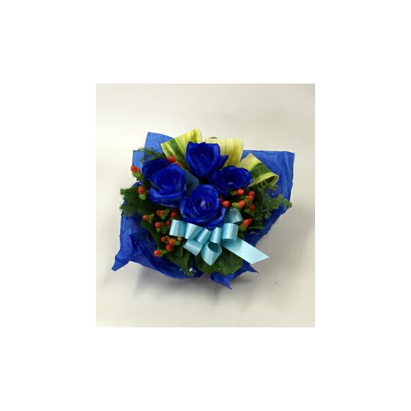 o5{O[AWgyԁzu[[Y@o@KN@AWg@ảԁ^Vzj^JXj^/LO