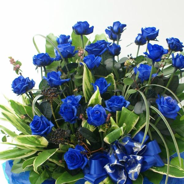 oh&amp;O[yp^Cvzԁ@KN@AWg@ԁ@ԁ@v[g@JXj@j@