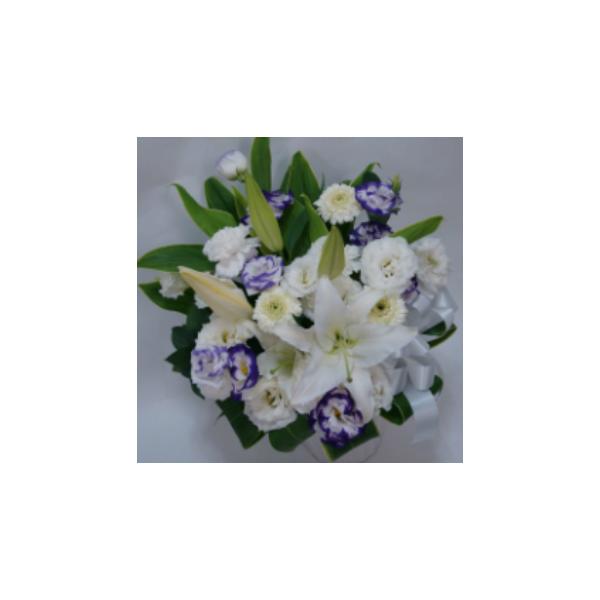 䋟AWg5000@݁@@ԁ@~@@@~@@v@ފ݁@Q