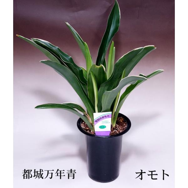 sIg@N@݂₱̂傤@Ɓ@܂˂񂠂A