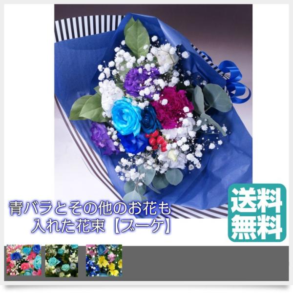 ԑ5000oƑ̉ԂăIWi Ԍt@s\/_̏j/Ձ@u[[Y LoN  a  v[g  ʔ  