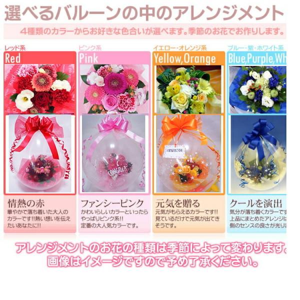 バルーンinフラワー 送料無料 生花が風船の中に バラ入りバルーンフラワー 一風変わったプレゼントお祝い プレゼントに Buyee Buyee Japanese Proxy Service Buy From Japan Bot Online