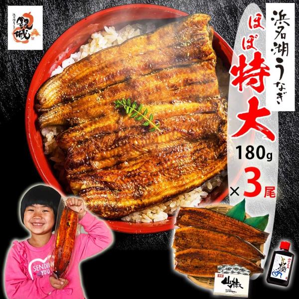国産うなぎの最高峰 浜名湖うなぎ 大蒲焼160g×3本ギフト【送料無料】 浜名湖産 ウナギ 鰻 蒲焼 誕生日プレゼント 父の日 敬老の日